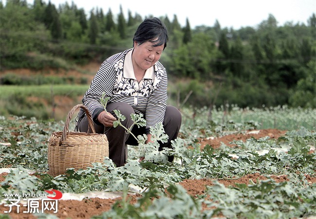 濟(jì)源網(wǎng)