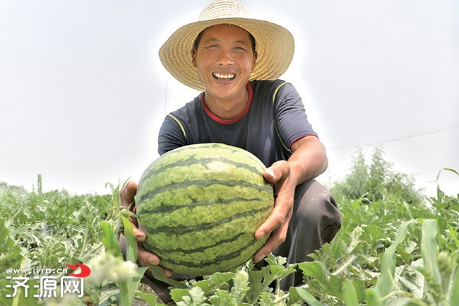 濟(jì)源網(wǎng)