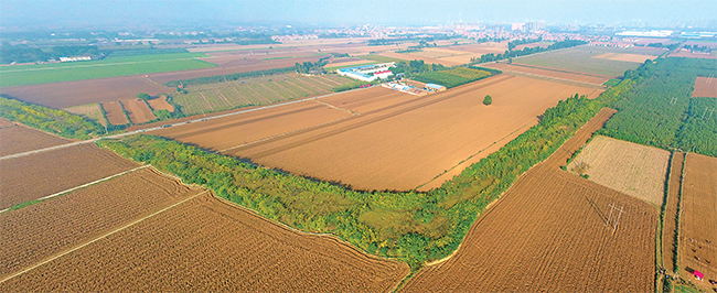 濟(jì)源網(wǎng)