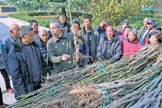 濟(jì)源網(wǎng)