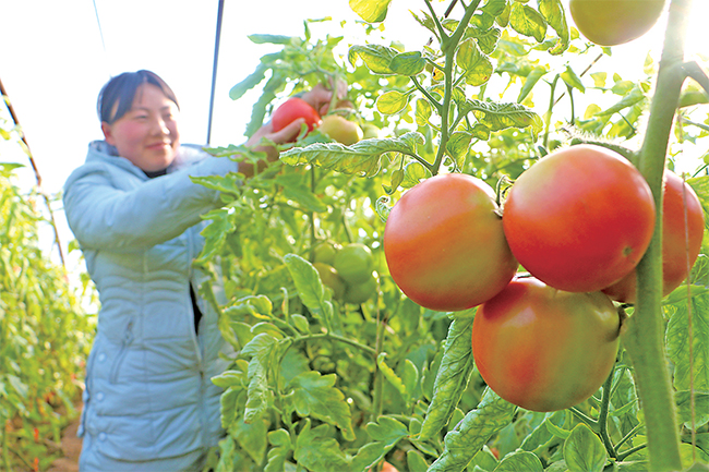 濟(jì)源網(wǎng)