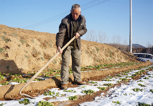 濟(jì)源網(wǎng)