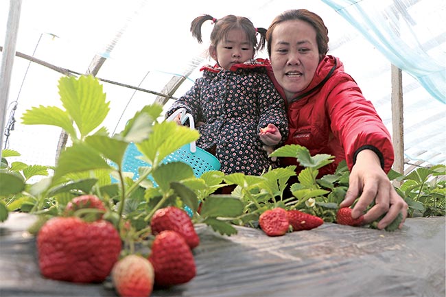 濟(jì)源網(wǎng)