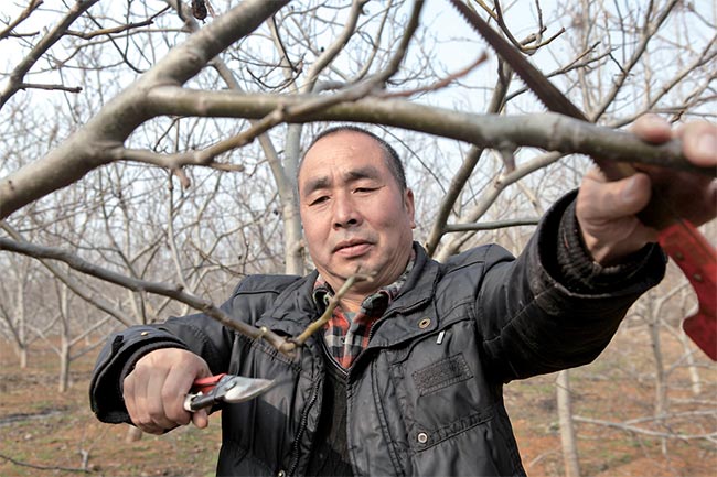 濟(jì)源網(wǎng)