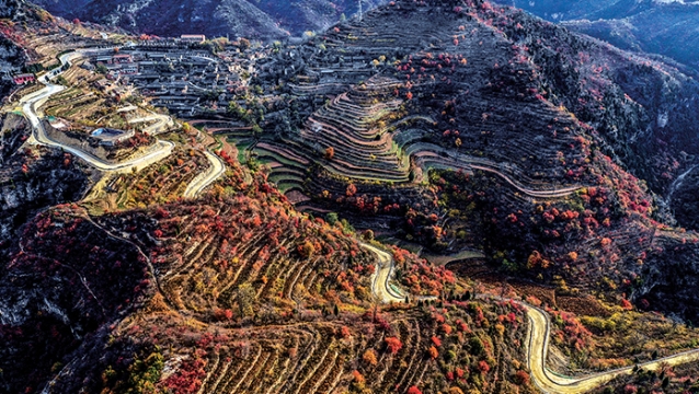 濟(jì)源網(wǎng)