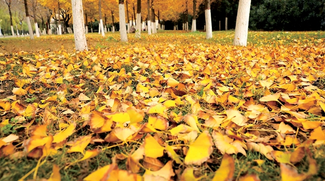 濟(jì)源網(wǎng)