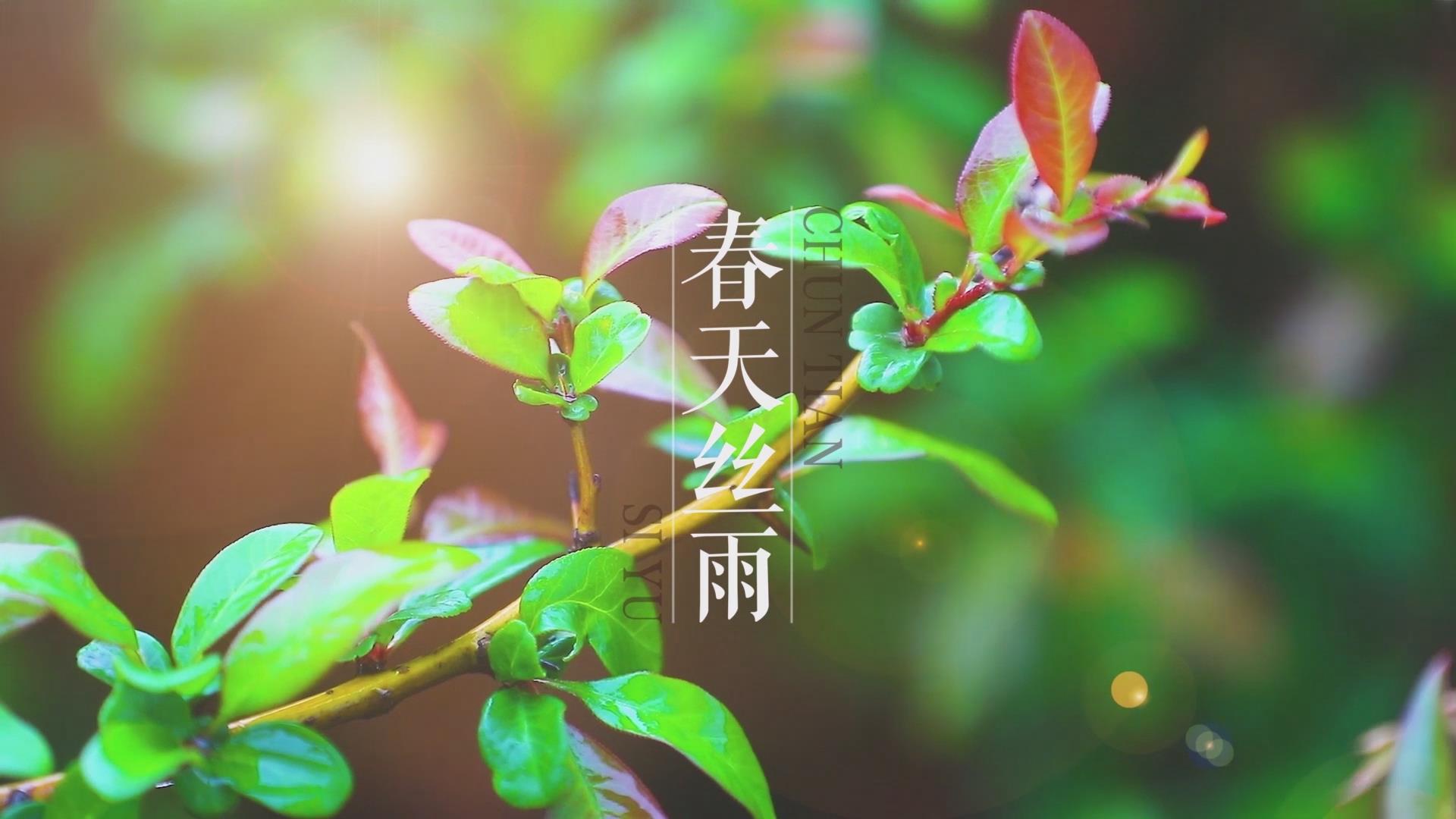 濟源網(wǎng)