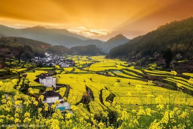 1585648384223885.jpg?x-oss-process=style/w10 4.jpg?x-oss-process=style/w10