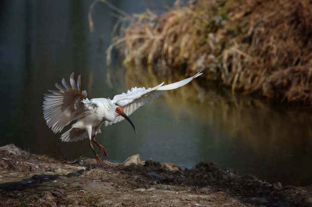 1587454657306411.jpg?x-oss-process=style/w10 6.jpg?x-oss-process=style/w10