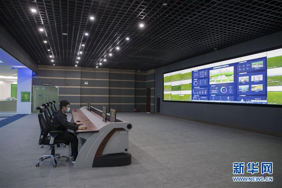 （走向我們的小康生活·圖文互動(dòng)）（8）端牢“中國飯碗” 播種綠色小康