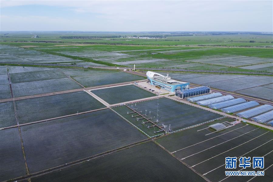 （走向我們的小康生活·圖文互動(dòng)）（3）端牢“中國飯碗” 播種綠色小康