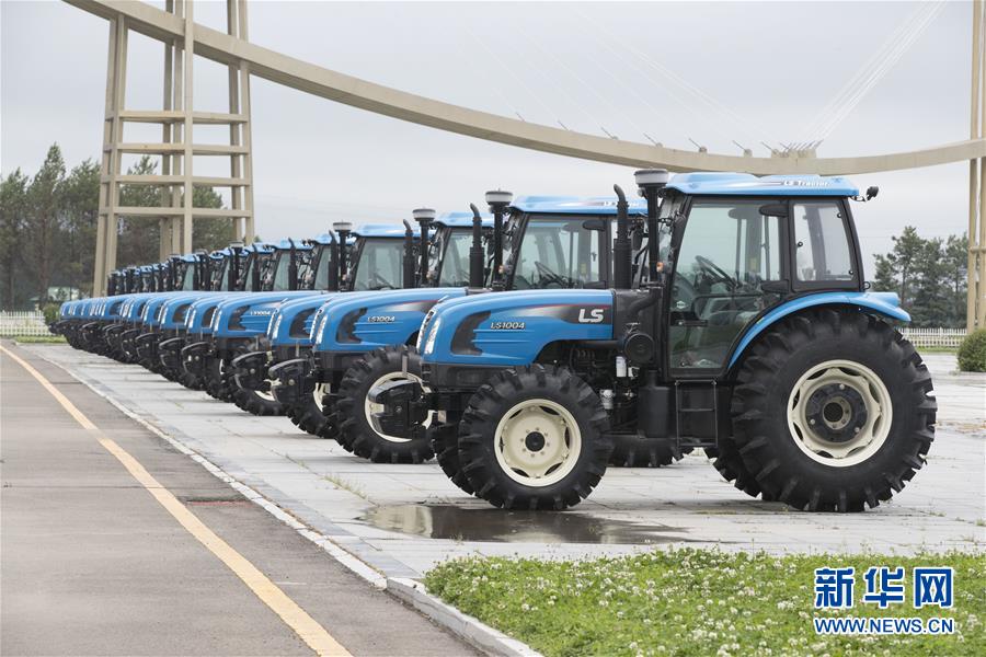 （走向我們的小康生活·圖文互動(dòng)）（9）端牢“中國飯碗” 播種綠色小康