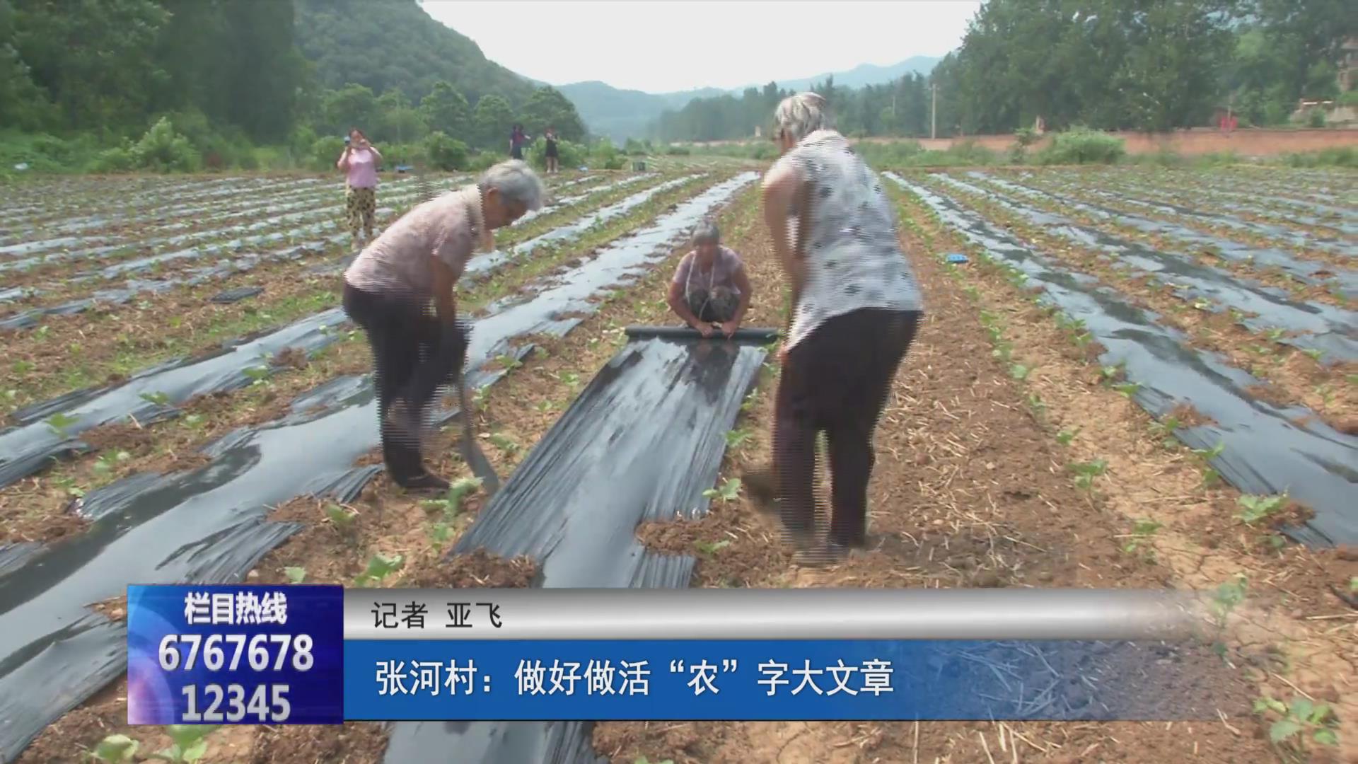 濟(jì)源網(wǎng)