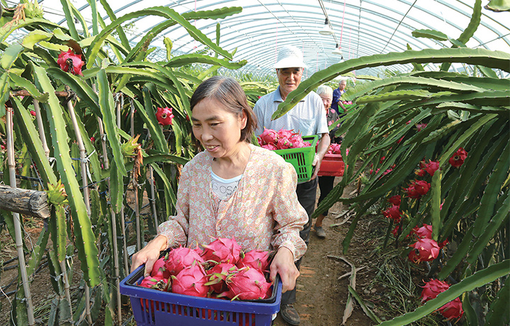 濟(jì)源網(wǎng)