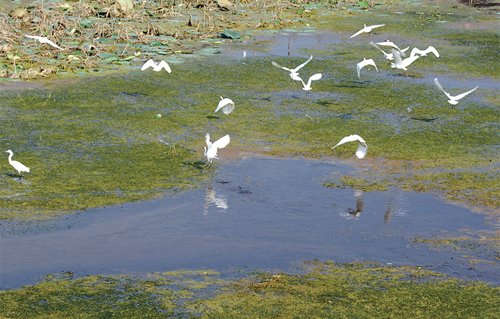 濟(jì)源網(wǎng)