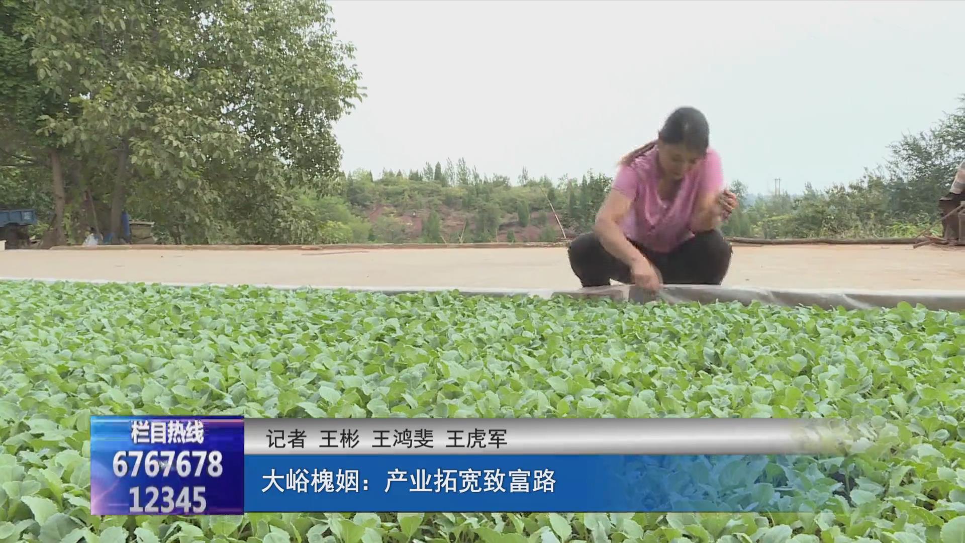 濟(jì)源網(wǎng)