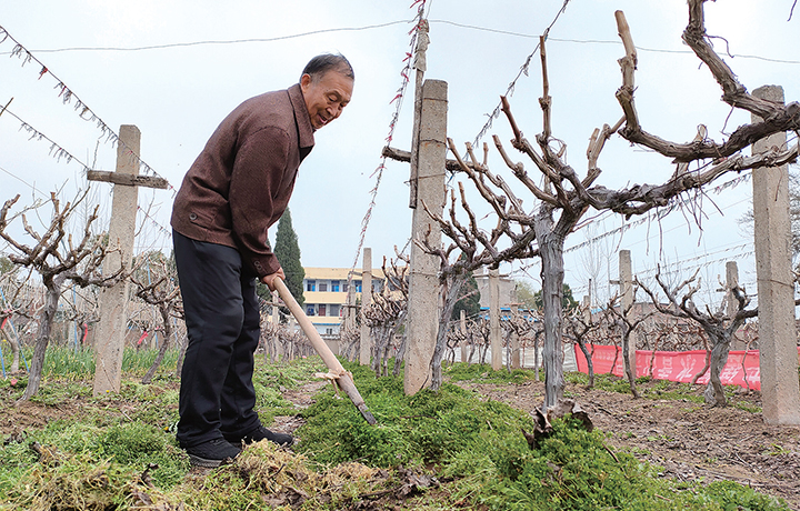 濟(jì)源網(wǎng)