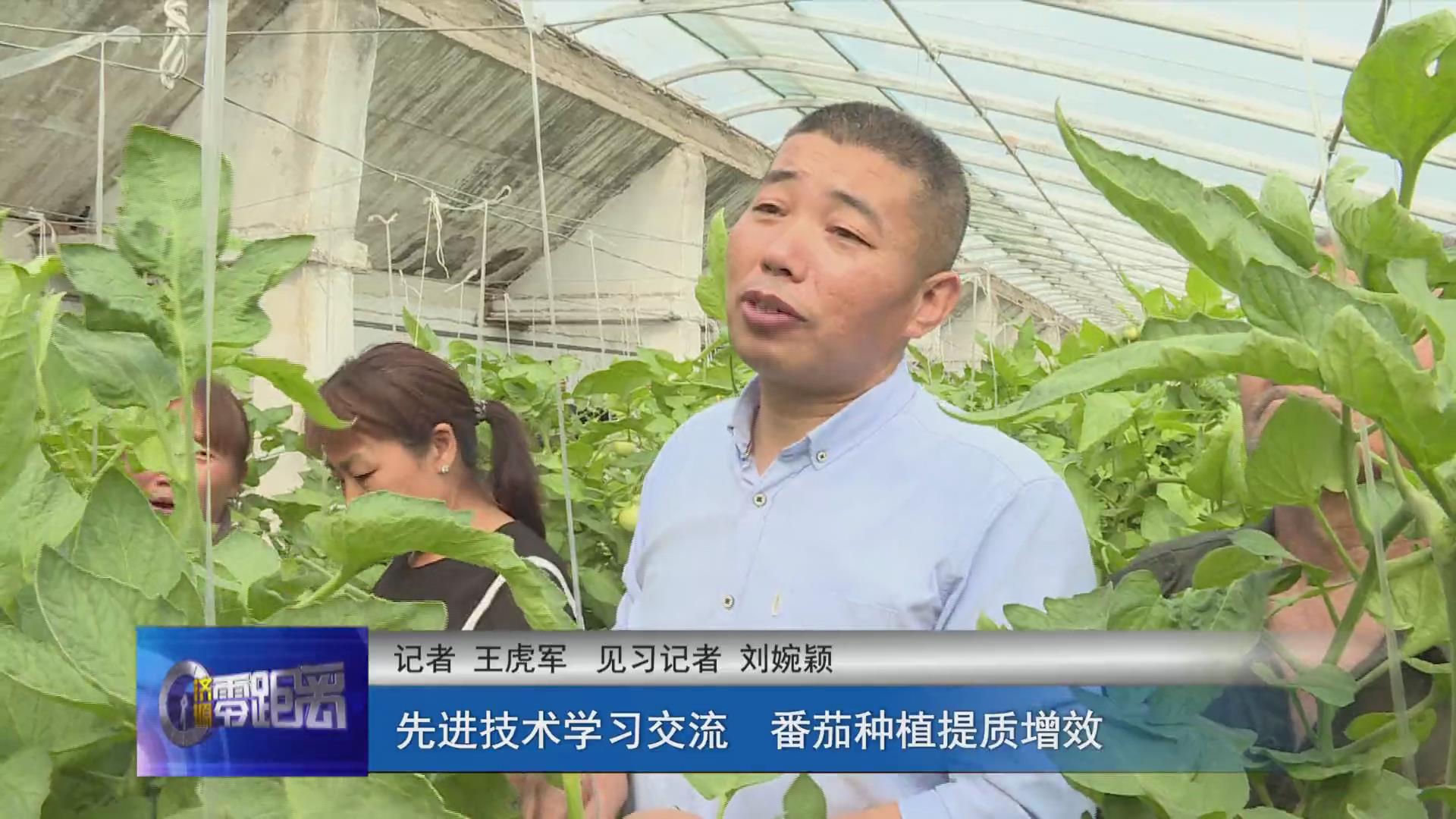 濟(jì)源網(wǎng)