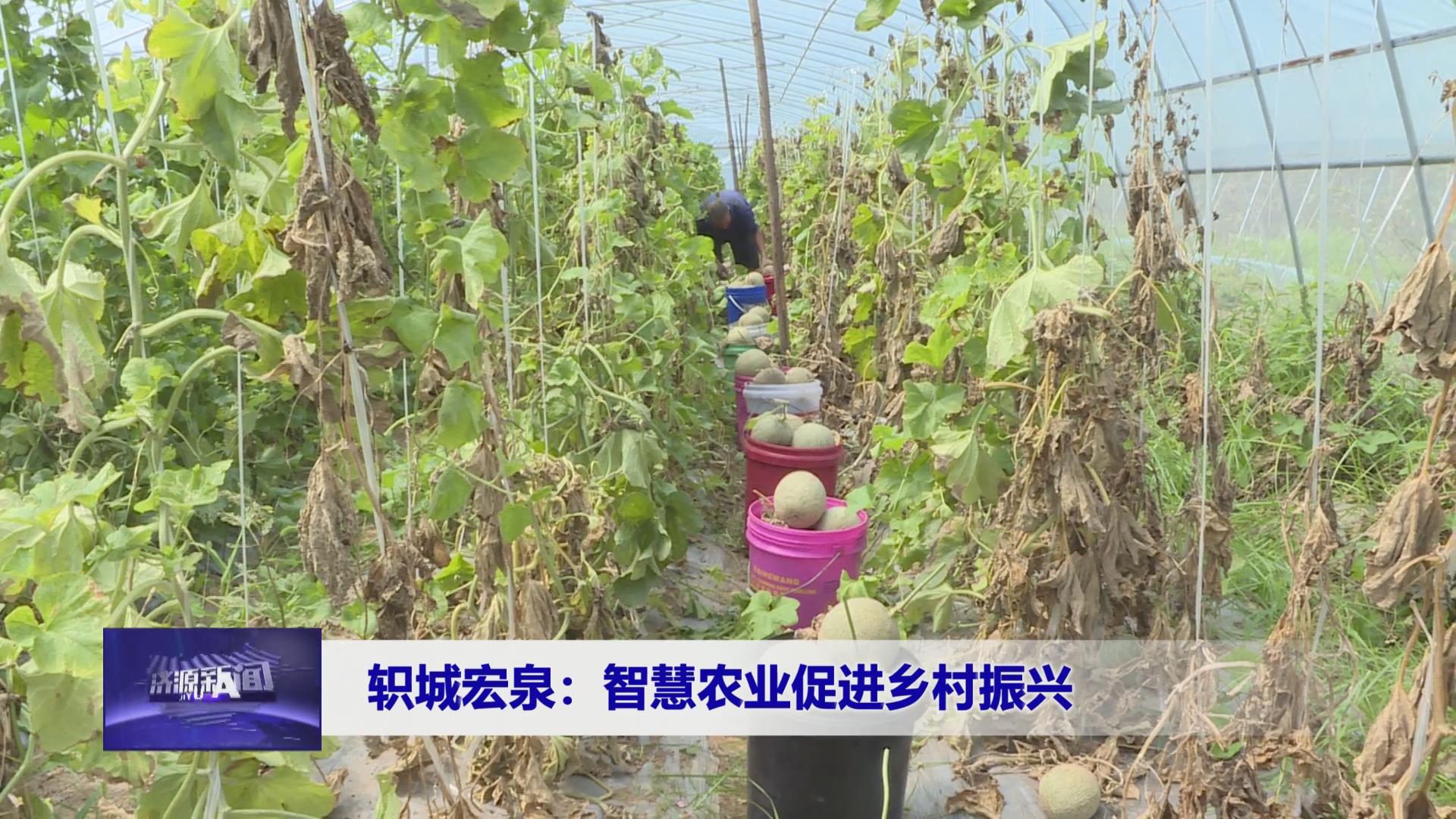 濟(jì)源網(wǎng)