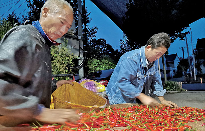 濟(jì)源網(wǎng)