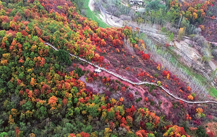 濟(jì)源網(wǎng)