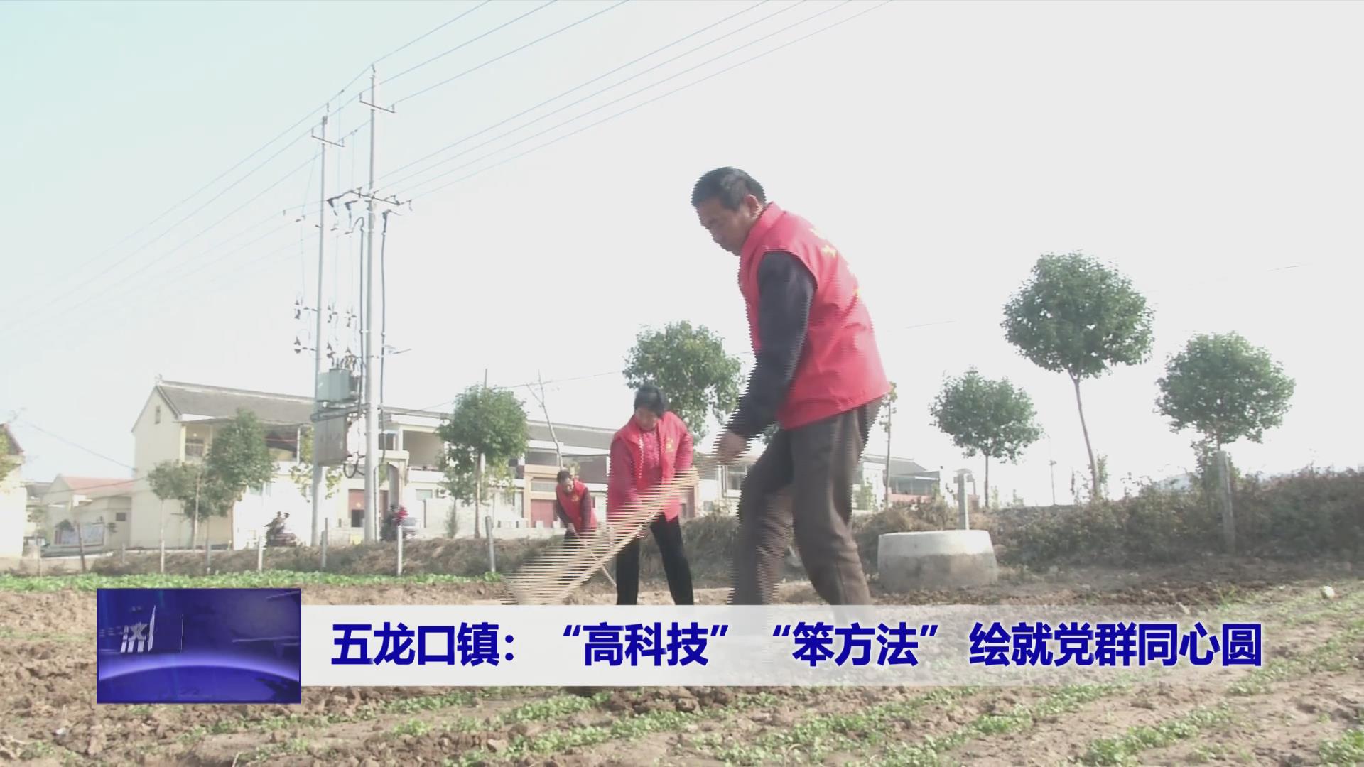 濟(jì)源網(wǎng)