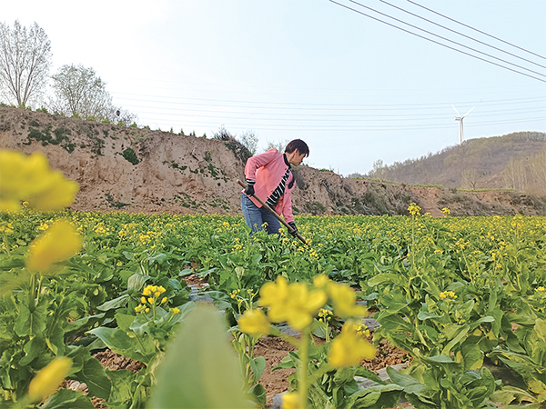 濟(jì)源網(wǎng)