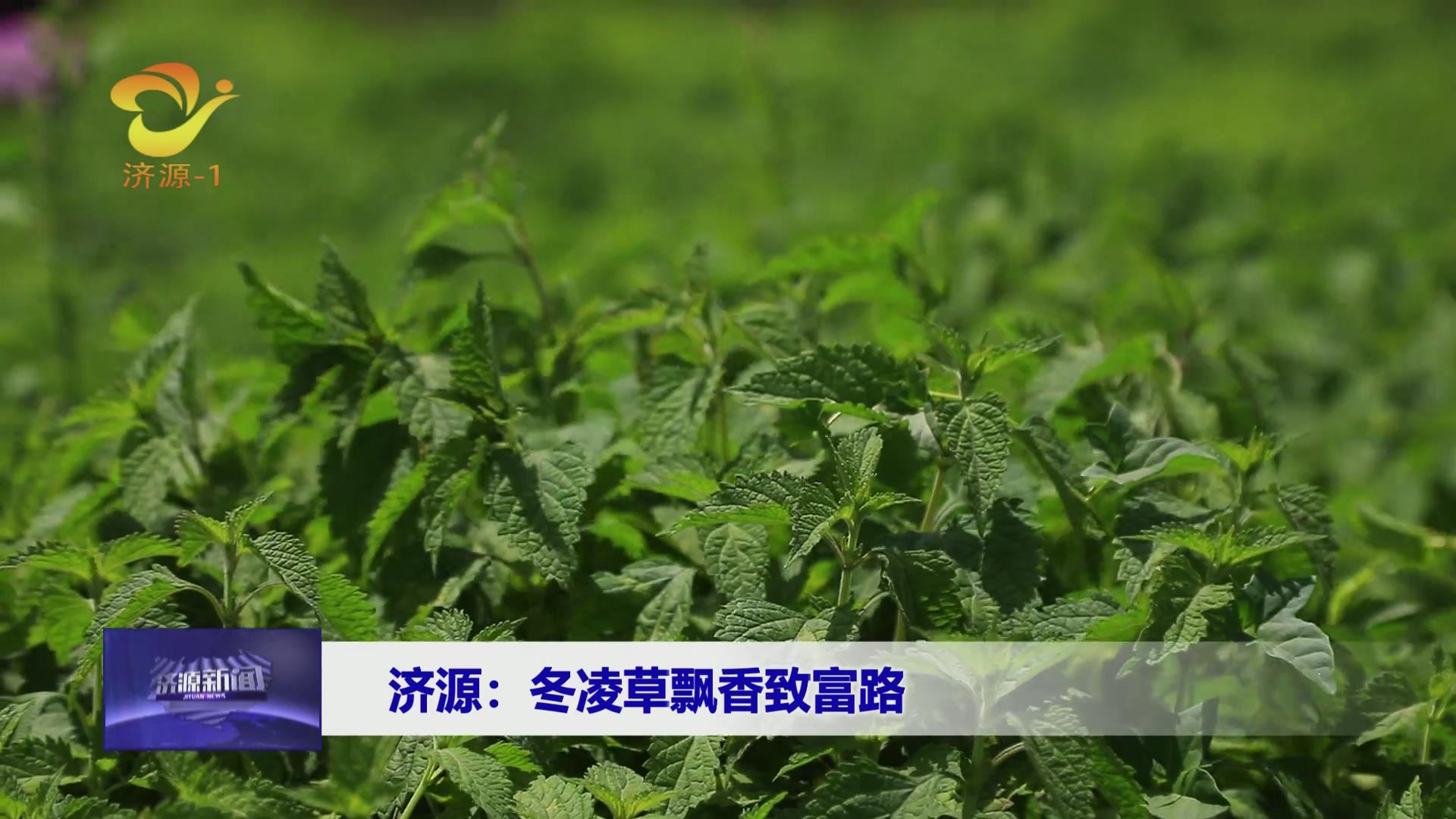 濟(jì)源網(wǎng)