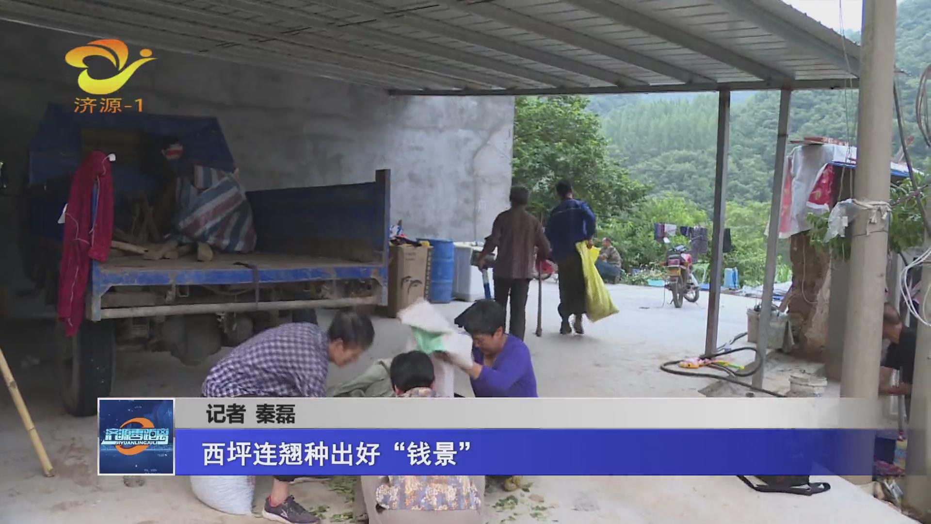 濟(jì)源網(wǎng)