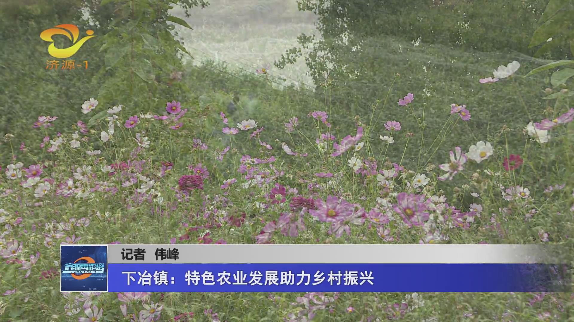 濟(jì)源網(wǎng)