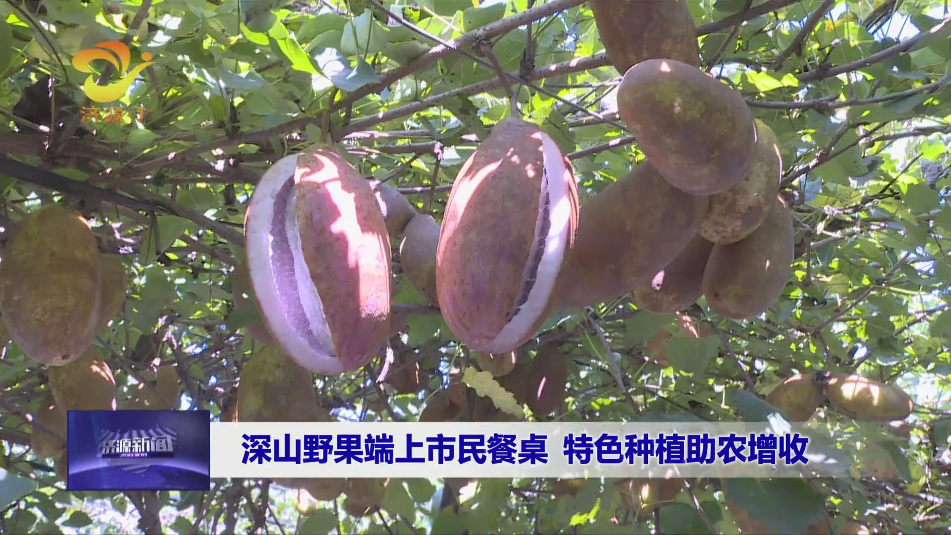 濟(jì)源網(wǎng)