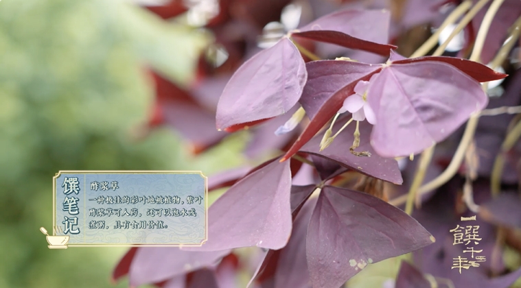 《一饌千年》走進河南開封，看豫菜何以影響中國2000余年