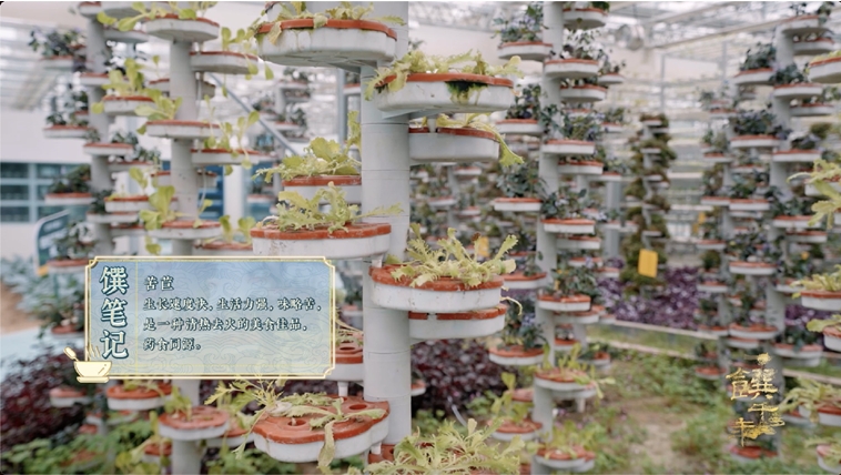 《一饌千年》走進河南開封，看豫菜何以影響中國2000余年