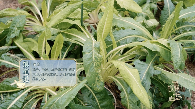 《一饌千年》走進河南開封，看豫菜何以影響中國2000余年