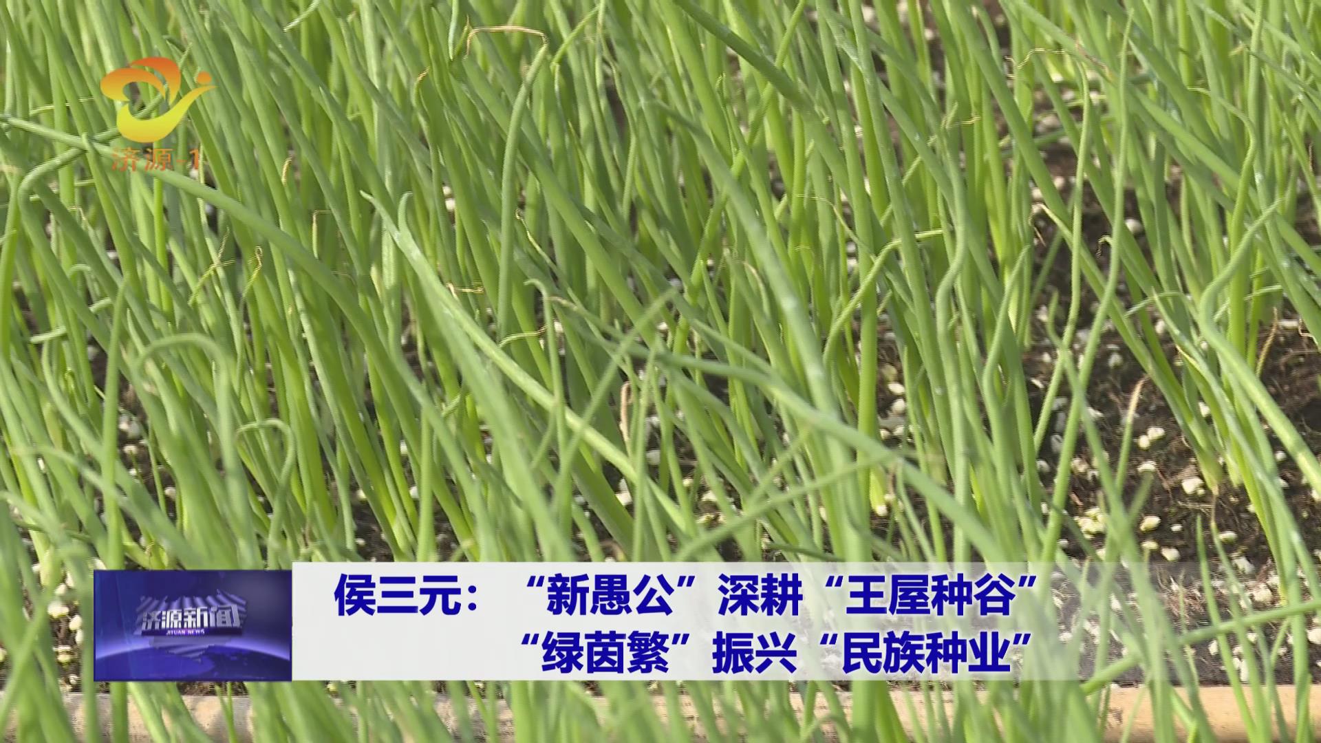 濟(jì)源網(wǎng)