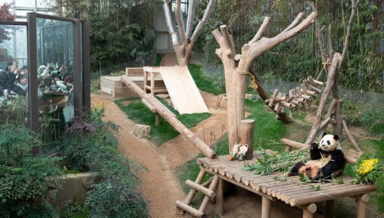   3月3日，人們在位于韓國京畿道龍仁市的愛寶樂園觀看大熊貓“福寶”。新華社記者姚琪琳攝