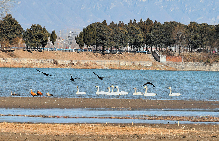 濟(jì)源網(wǎng)