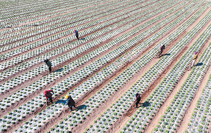 濟(jì)源網(wǎng)