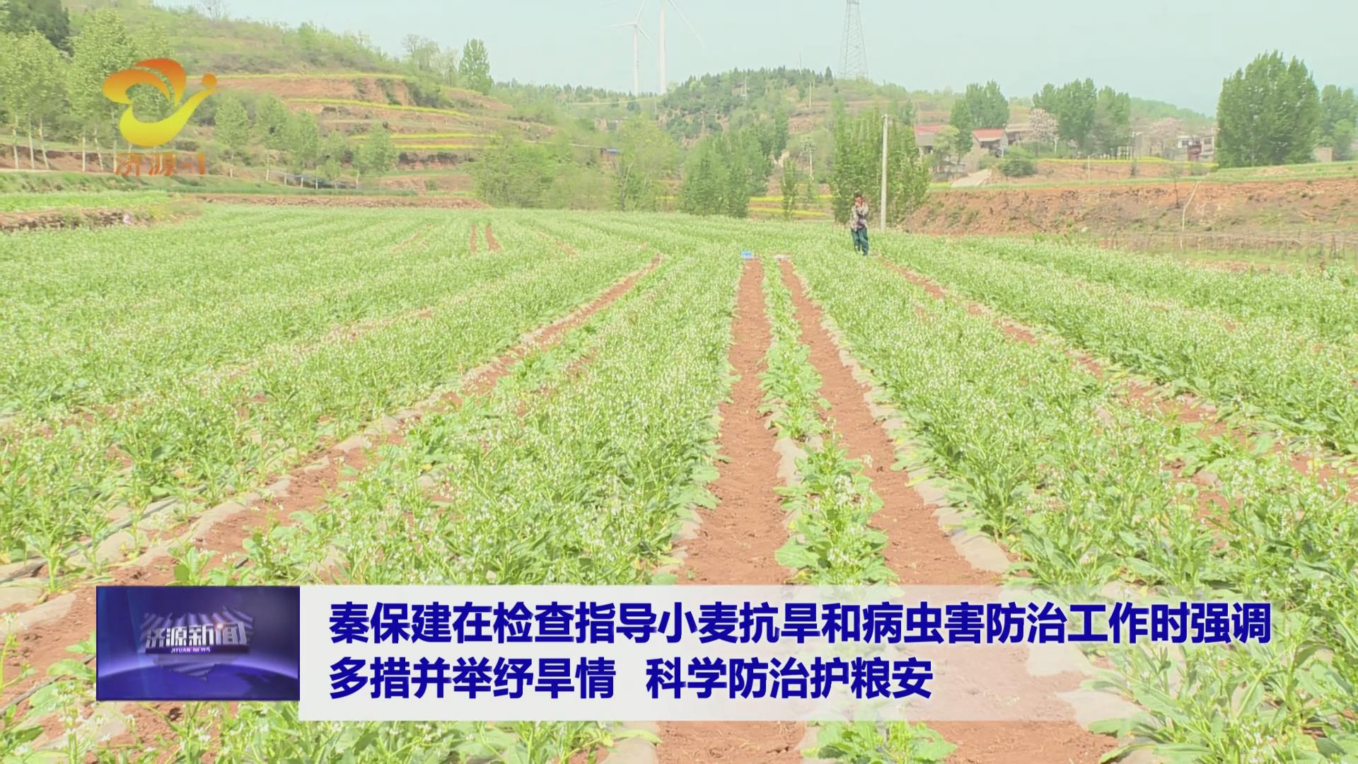 濟(jì)源網(wǎng)