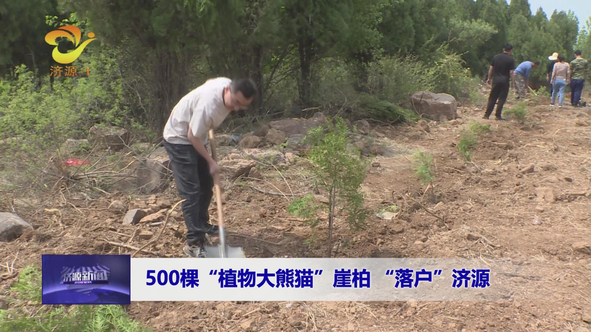 濟(jì)源網(wǎng)