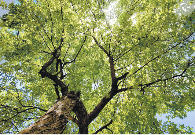 濟(jì)源網(wǎng)