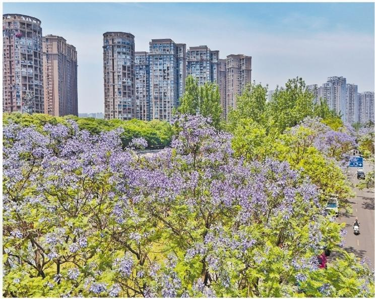 濟(jì)源網(wǎng)