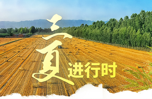 濟(jì)源網(wǎng)