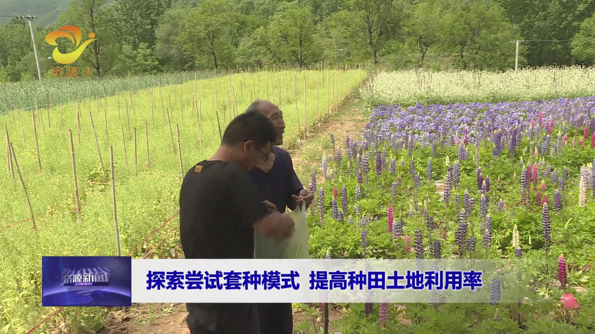 濟(jì)源網(wǎng)