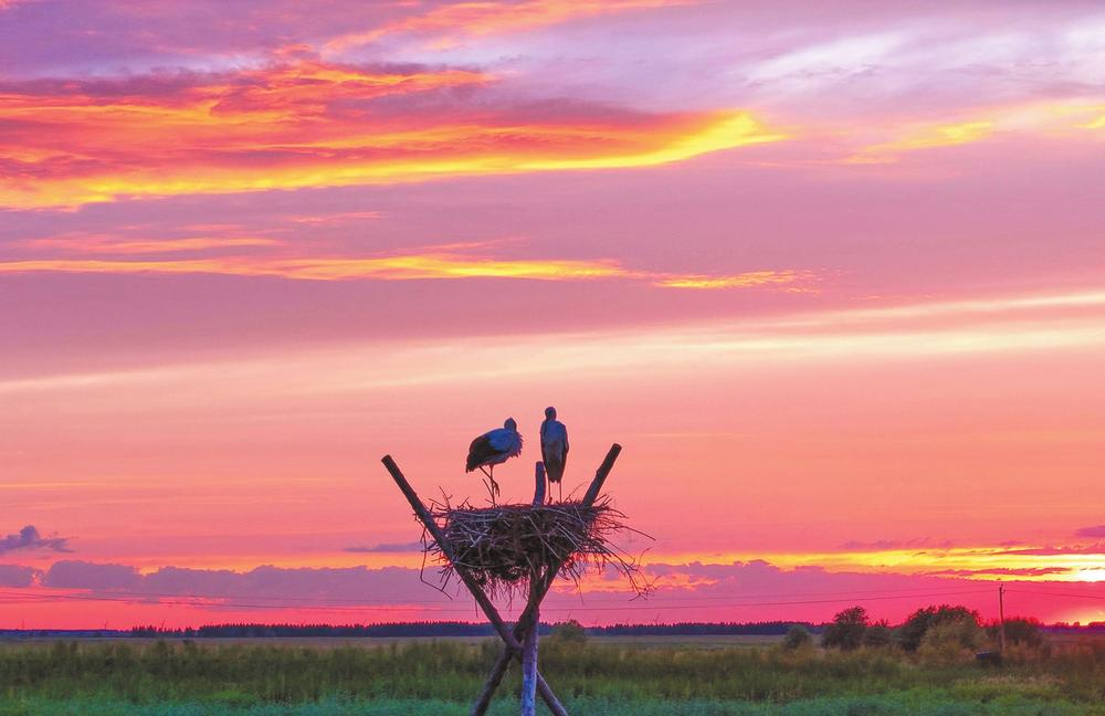 濟(jì)源網(wǎng)