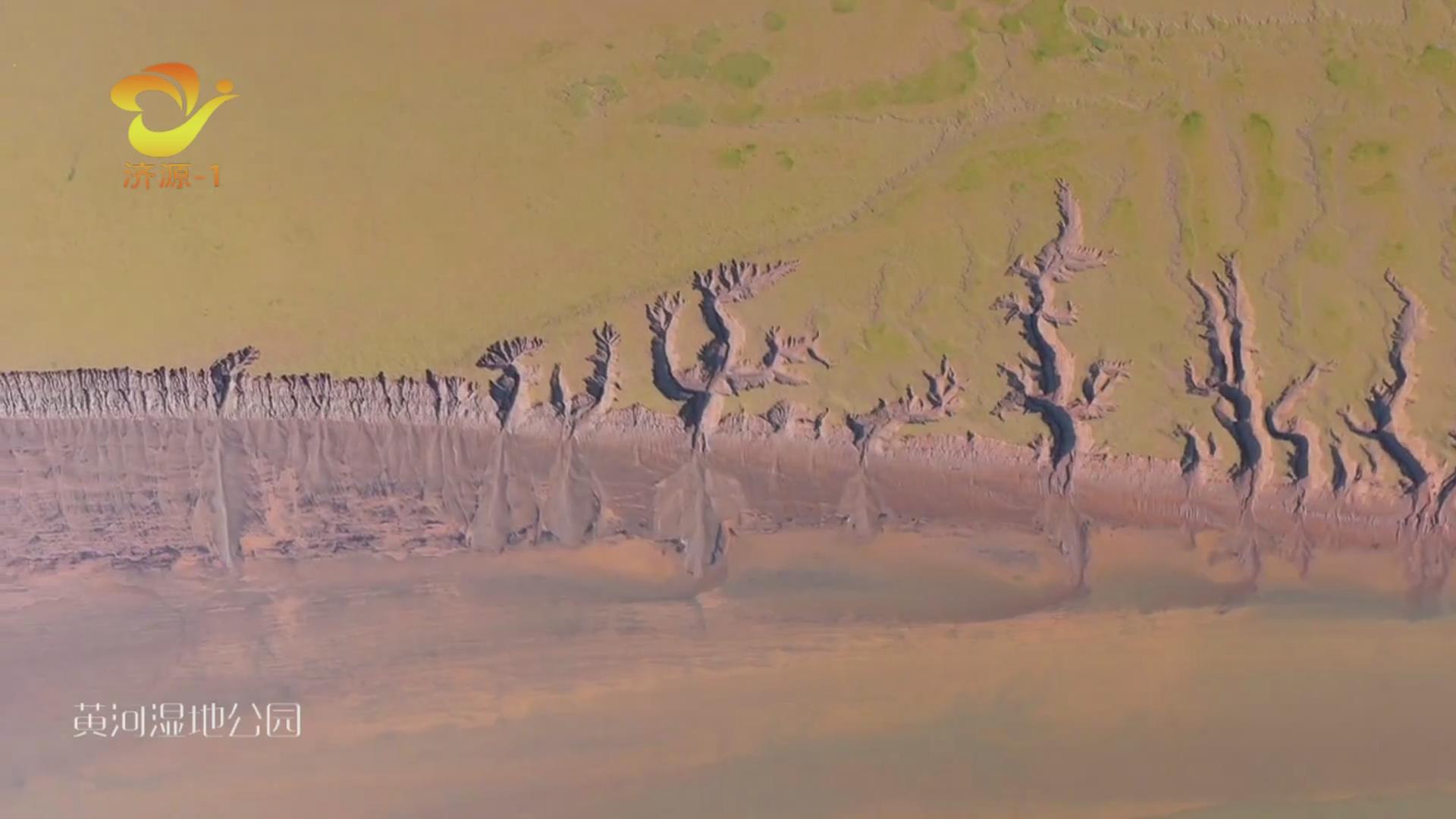 濟(jì)源網(wǎng)