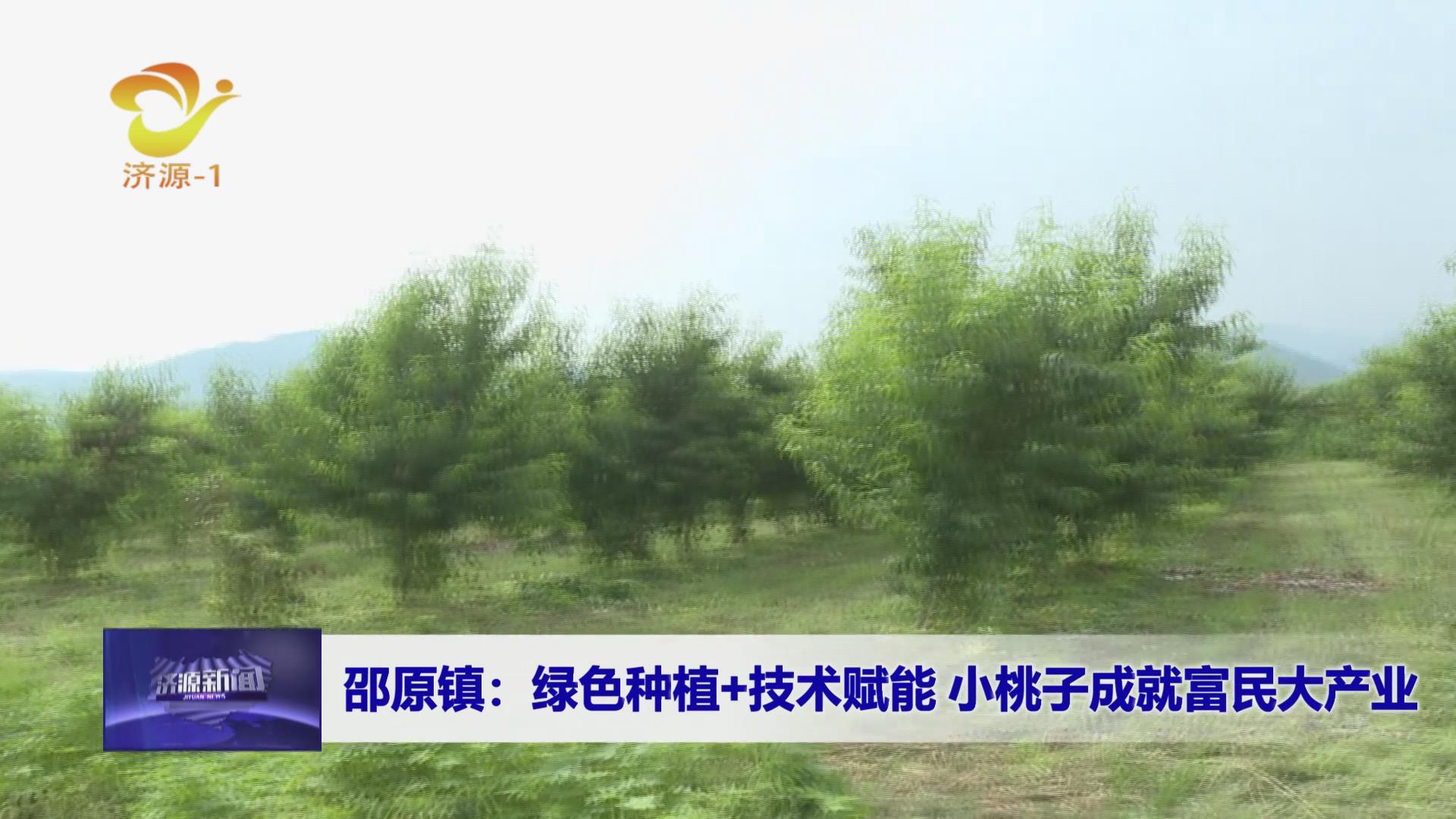 濟(jì)源網(wǎng)