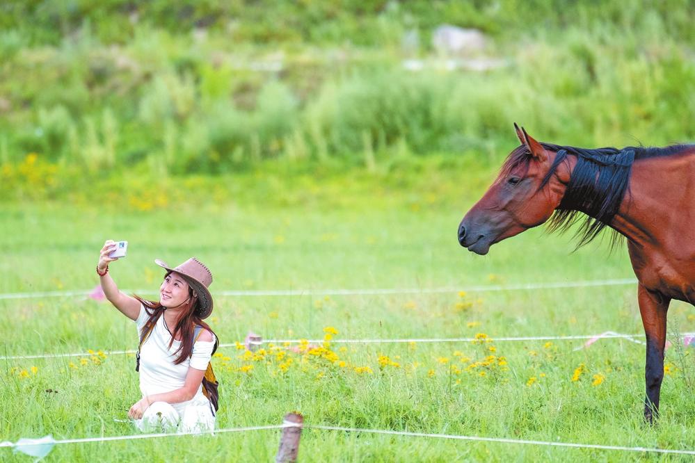 濟(jì)源網(wǎng)