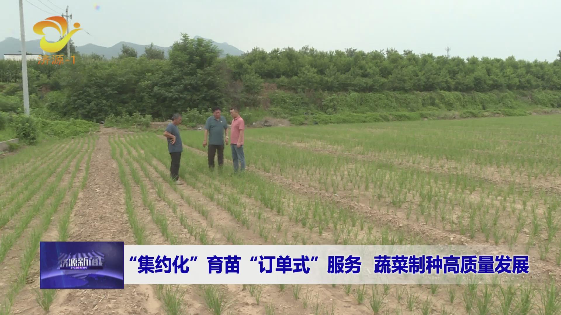 濟(jì)源網(wǎng)