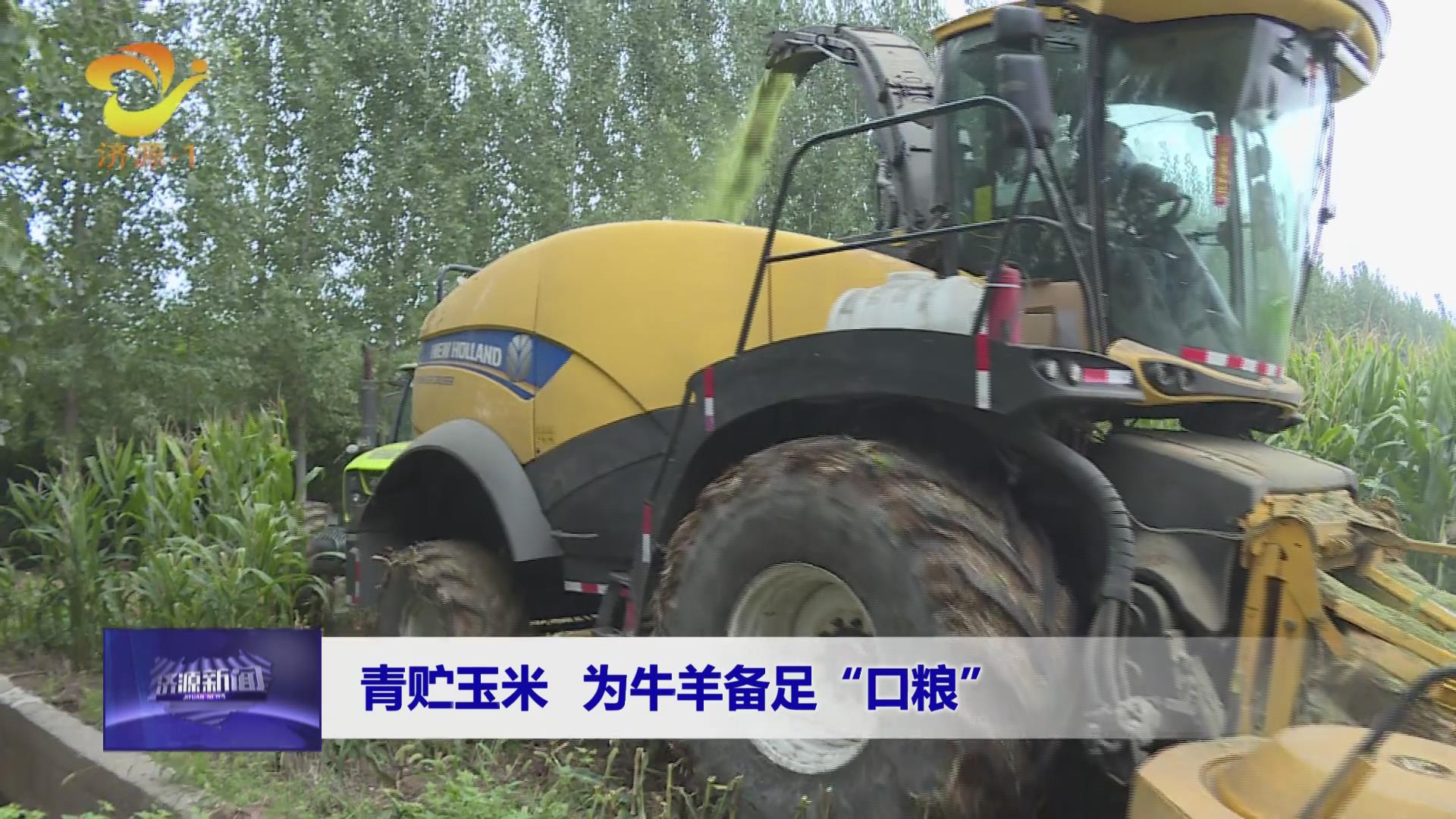 濟(jì)源網(wǎng)